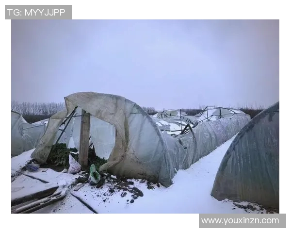 全球气候变化加剧极端天气事件 专家呼吁各国加强应对措施